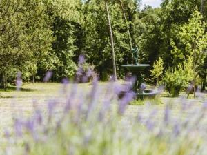 Appartements Apartment in Bergerac near Chateau de Bridoire : Appartement 1 Chambre