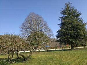 Appartements Apartment in Bergerac near Chateau de Bridoire : photos des chambres