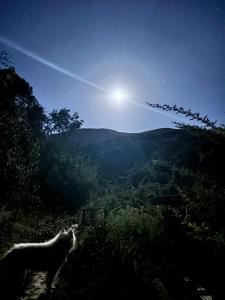cabaña con tinaja en viña narbona wines