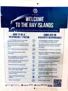 Cozy Studio in Sunset Villas