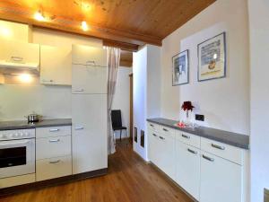 Apartment in Fügen near Spieljochbahn