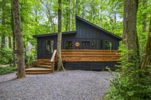 Black Bear Lodge - Fire Pit - Hot Tub