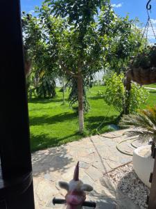 Cabana Sorina