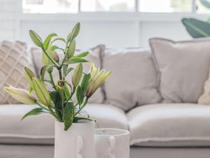 Lower Lvl Boyd- Sunny Coastal Home - Pet Friendly