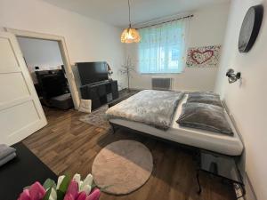 TENNIS LIFE ŠUMPERK