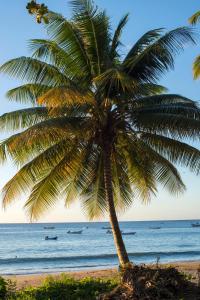 Castara Retreats, North Side Road, Castara, Trinidad and Tobago