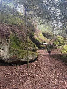 Chambres dhôtes les portes de la Saône