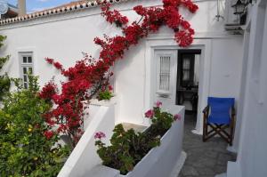 Villa Christina Spetses Greece