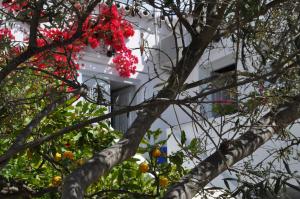 Villa Christina Spetses Greece