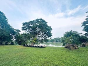 ไวท์เฮาส์โฮมสเตย์24ชั่วโมง