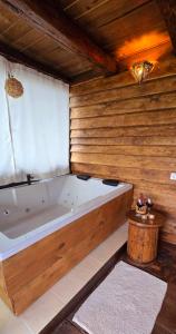 Вили Панорама Лещен