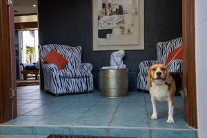 Belle Escapes Villa Riviera