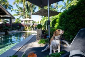 Belle Escapes Villa Riviera - 4hvězdičkové hotely ve městě Palm Cove