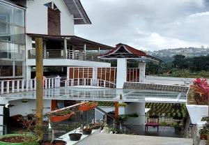 Calla Lily By The Brook