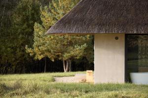 Sauseriai - Inspired by Nature S3