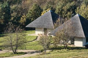 Sauseriai - Inspired by Nature S3