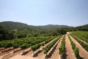 Villas La Bastide : photos des chambres