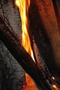 Hotels Logis Hotel Le Central : photos des chambres