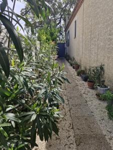 Maison aux portes des garrigues