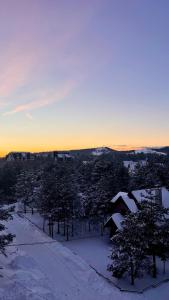 Vila Rosa Apartman 8