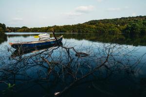 Riverfront 2 Bedroom cozy Apartment by Greenspace