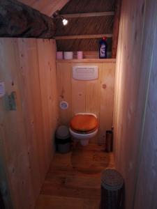 Chalets La Chaumiere aux Biches : photos des chambres