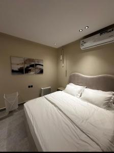 Riyadh Residence -210