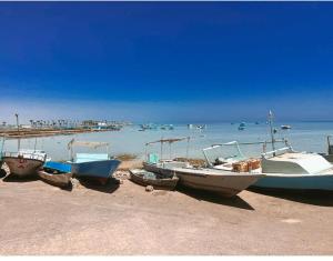 Sea Life Hurghada Apartments