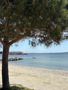 Maisons de vacances Quiet street in old Meze - terrace, 250m to beach : photos des chambres