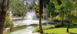 Buenavista Estudio Torremolinos