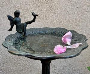 Maisons de vacances Quiet street in old Meze - terrace, 250m to beach : photos des chambres