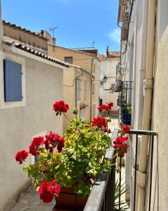 Maisons de vacances Quiet street in old Meze - terrace, 250m to beach : photos des chambres
