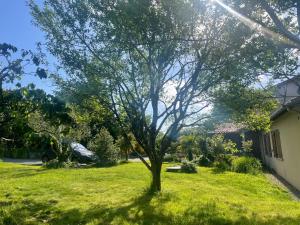 Sejours chez l'habitant Echappee belle verdoyante 20 min du Puy : photos des chambres