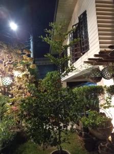 VG Bed and Breakfast