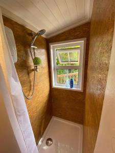 Lakeside Lodge - Castlemartyr - Sleeps 4