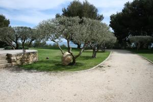 Grand Mas en Provence avec piscine