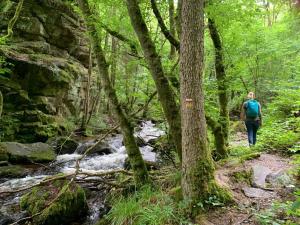 Maisons de vacances Gite MTB Morvan voor fiets en natuurliefhebbers : photos des chambres
