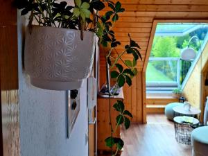 Ferienwohnung Brentenholz Nachhaltig&naturnah