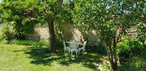 Appartements Studio Carpe Diem proche Fontainebleau : photos des chambres