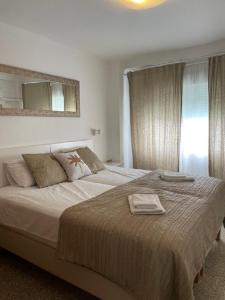 AP338 - Gaviota Moell