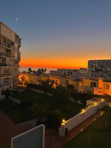 AP338 - Gaviota Moell