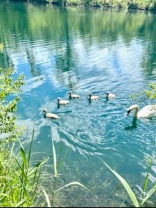 Mountain View luxury up to four persons