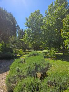 B&B / Chambres d'hotes Le Domaine des peupliers : photos des chambres