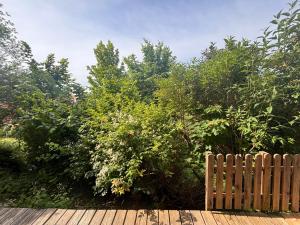 Cozy Apartment with Garden in Graz Free Parking