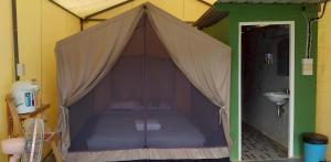 Doymoktawanview ดอยหมอกตะวันวิว