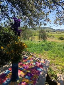 Yourte à la ferme des Bréguières