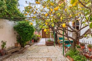 Il Borgo - Casa Ottocentesca img20