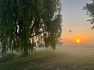 B&B / Chambres d'hotes Le Clos des Chateaux : photos des chambres