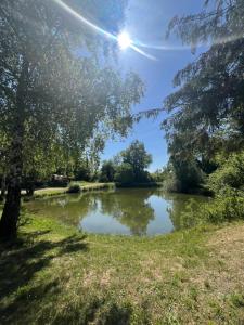 Maisons de vacances N004 - L-Ecrin de Verdure - climatise - TV - proche Europa Park : photos des chambres