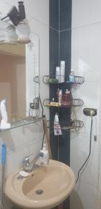 The Oasis near Cairo International Airport